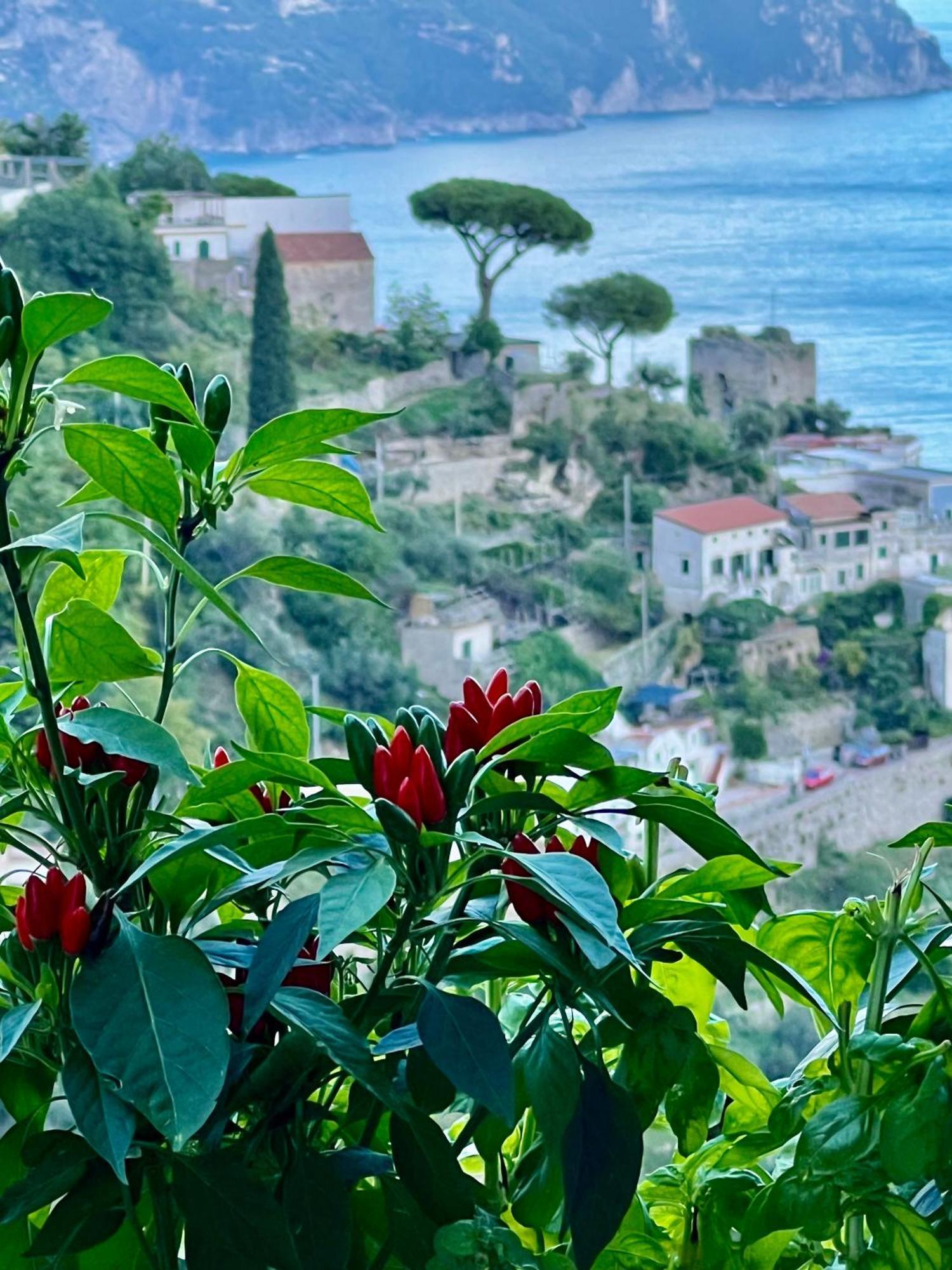 Villa Nina Amalfi Extérieur photo